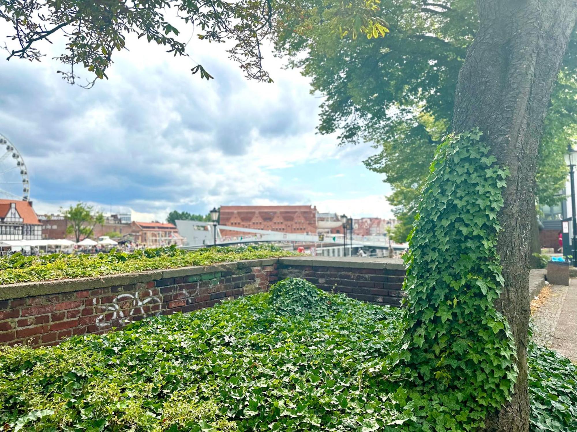 Mmrent Rose Room Gdansk Dış mekan fotoğraf